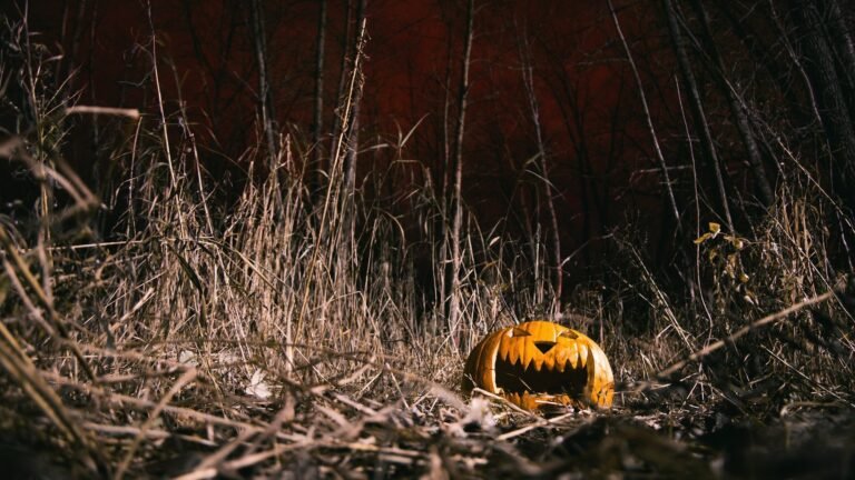 A glowing jack-o'-lantern in dry grass on Halloween night